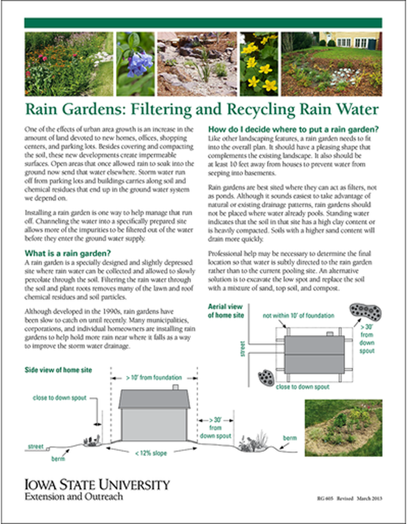 Rain Gardens: Filtering and Recycling Rain Water image number 0