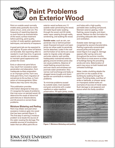 Paint Problems on Exterior Wood - Wood Use