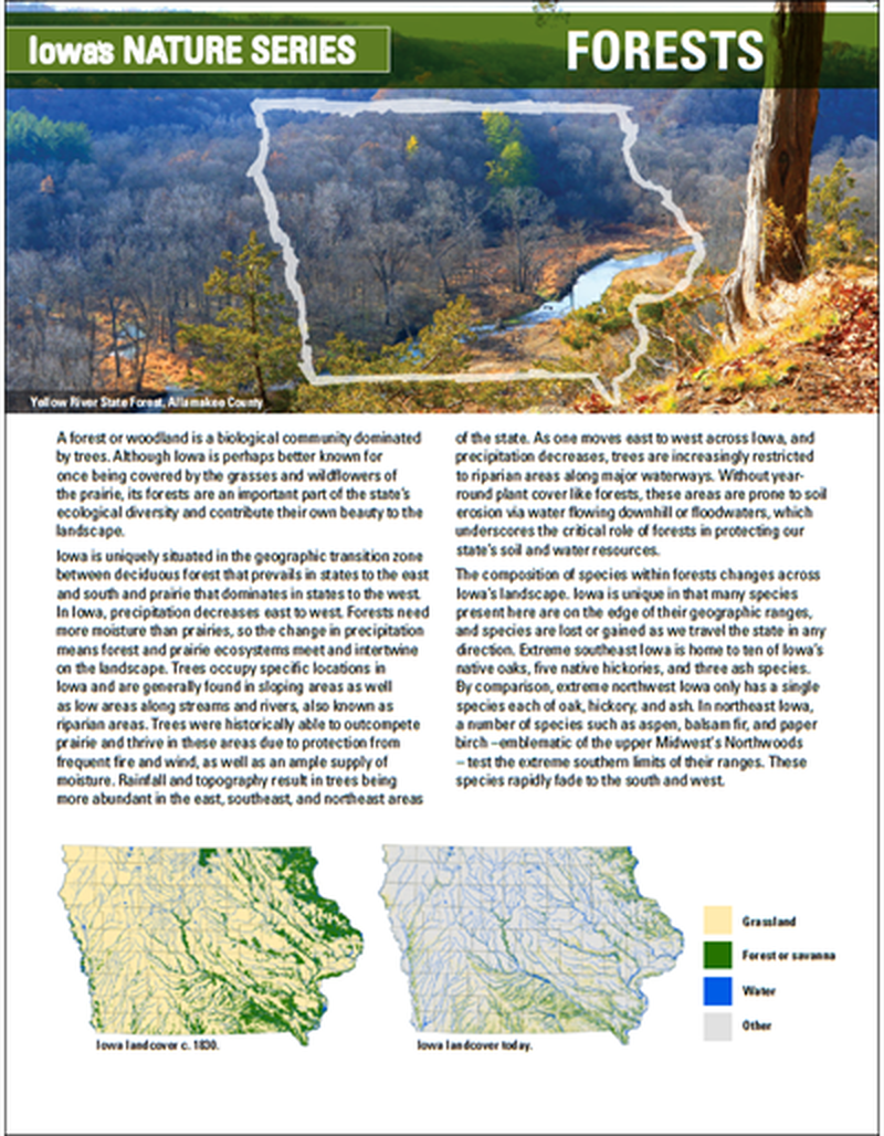 Forests - Iowa's Nature Series image number 0
