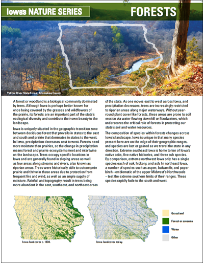 Forests - Iowa's Nature Series