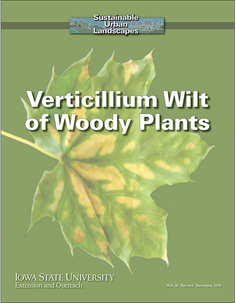 Verticillium Wilt of Woody Plants -- Sustainable Urban Landscapes image number 0