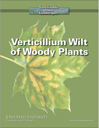 Verticillium Wilt of Woody Plants -- Sustainable Urban Landscapes