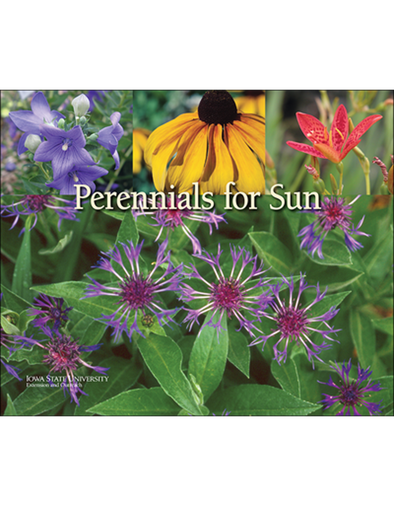 Perennials for Sun image number 0