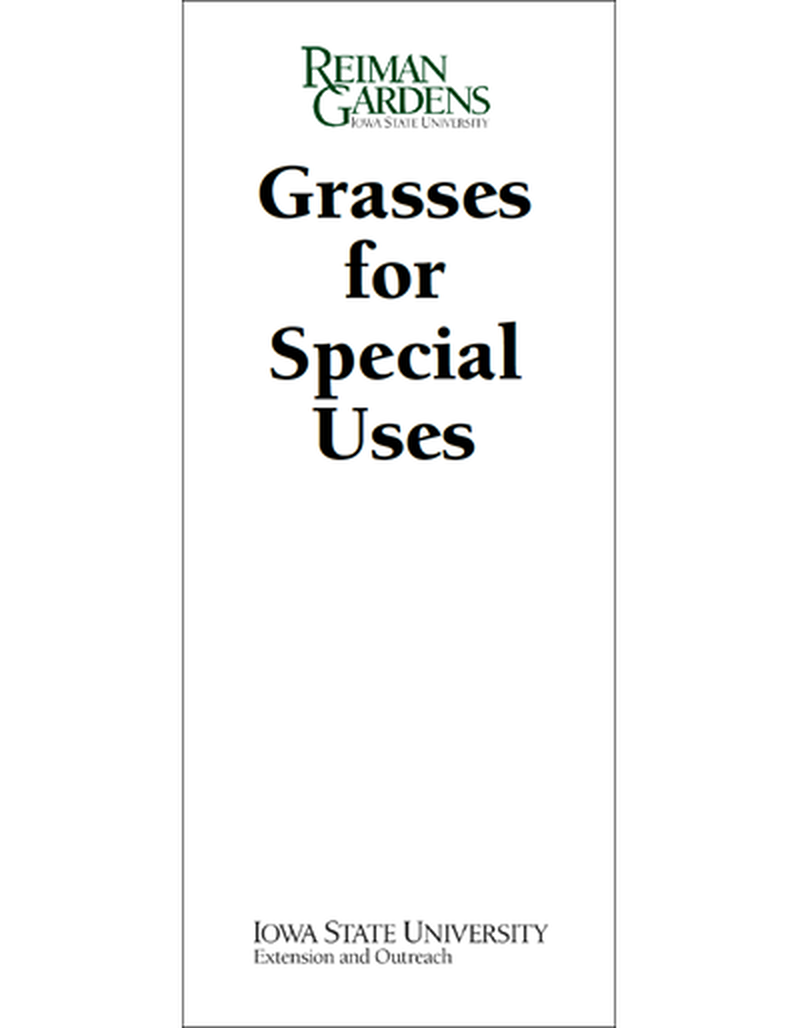 Grasses for Special Uses -- Reiman Gardens image number 0