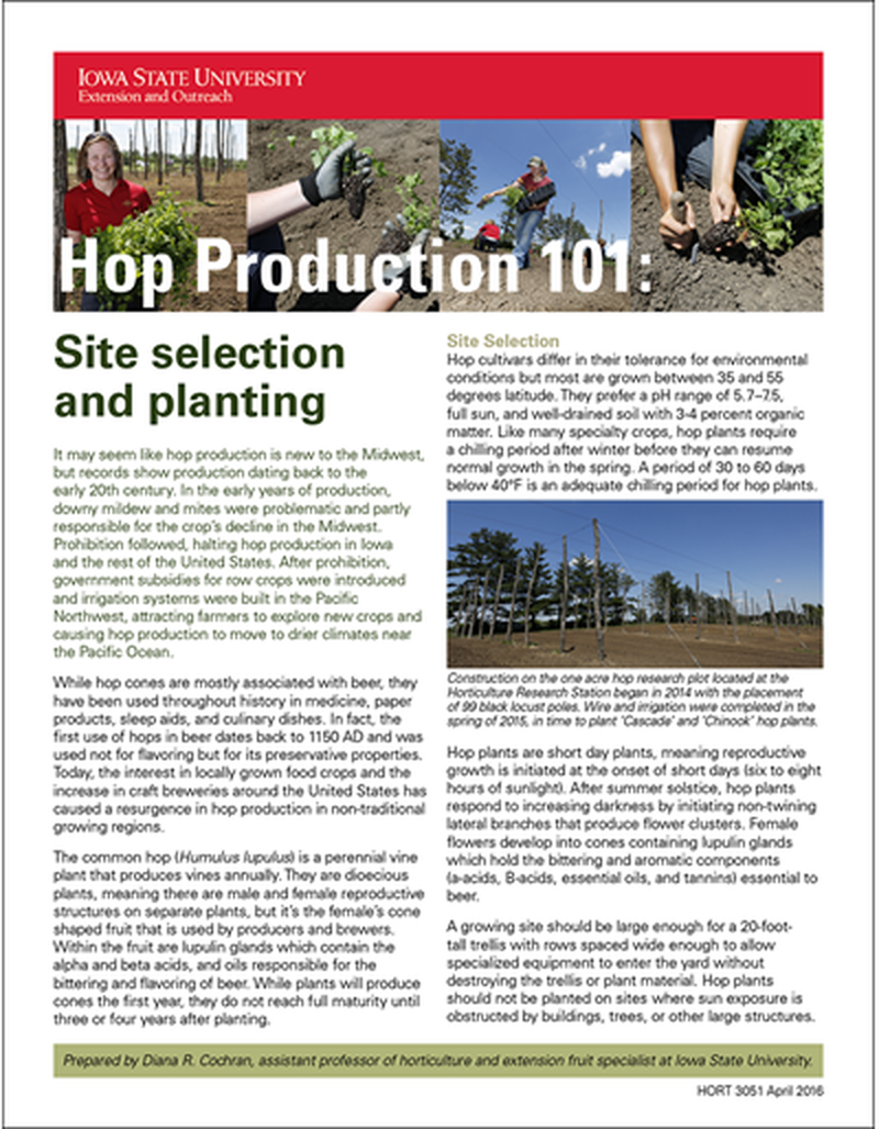 Hop Production 101: Site selection and planting image number 0