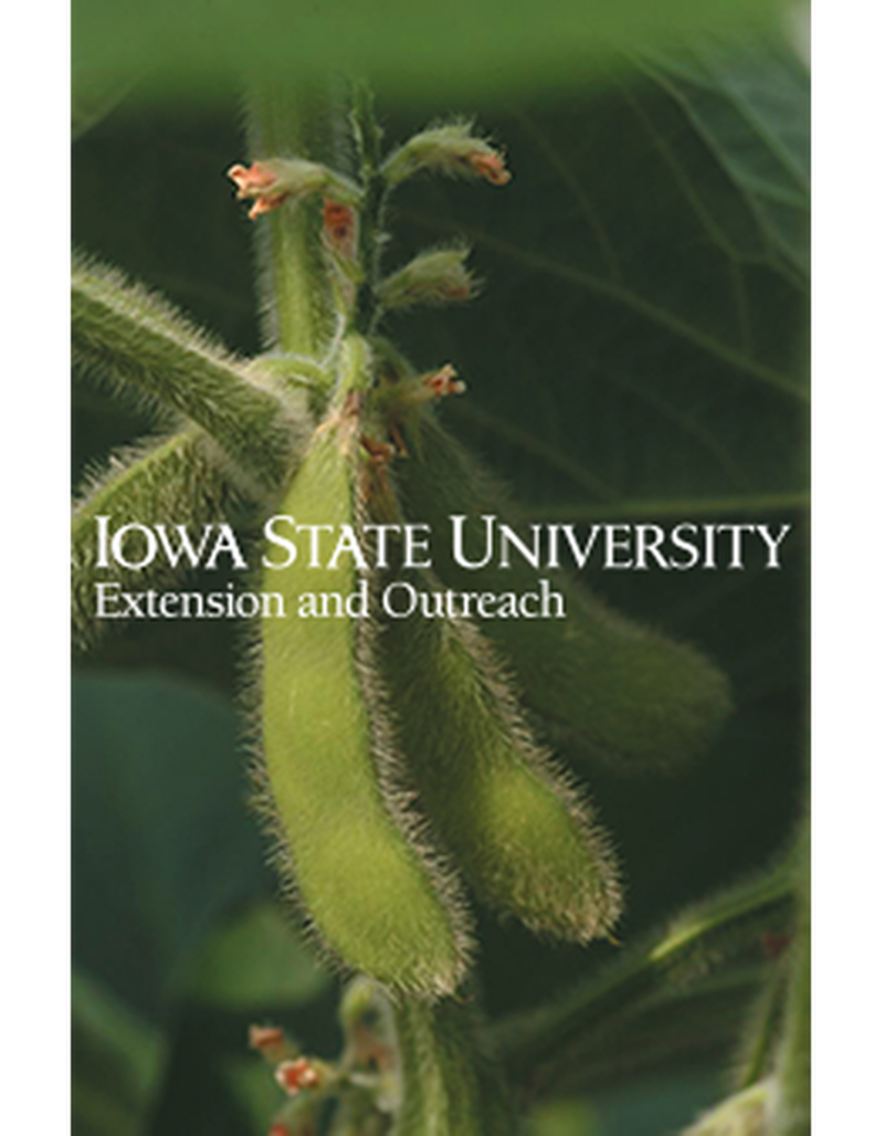 Soybean pods - Close up image number 0