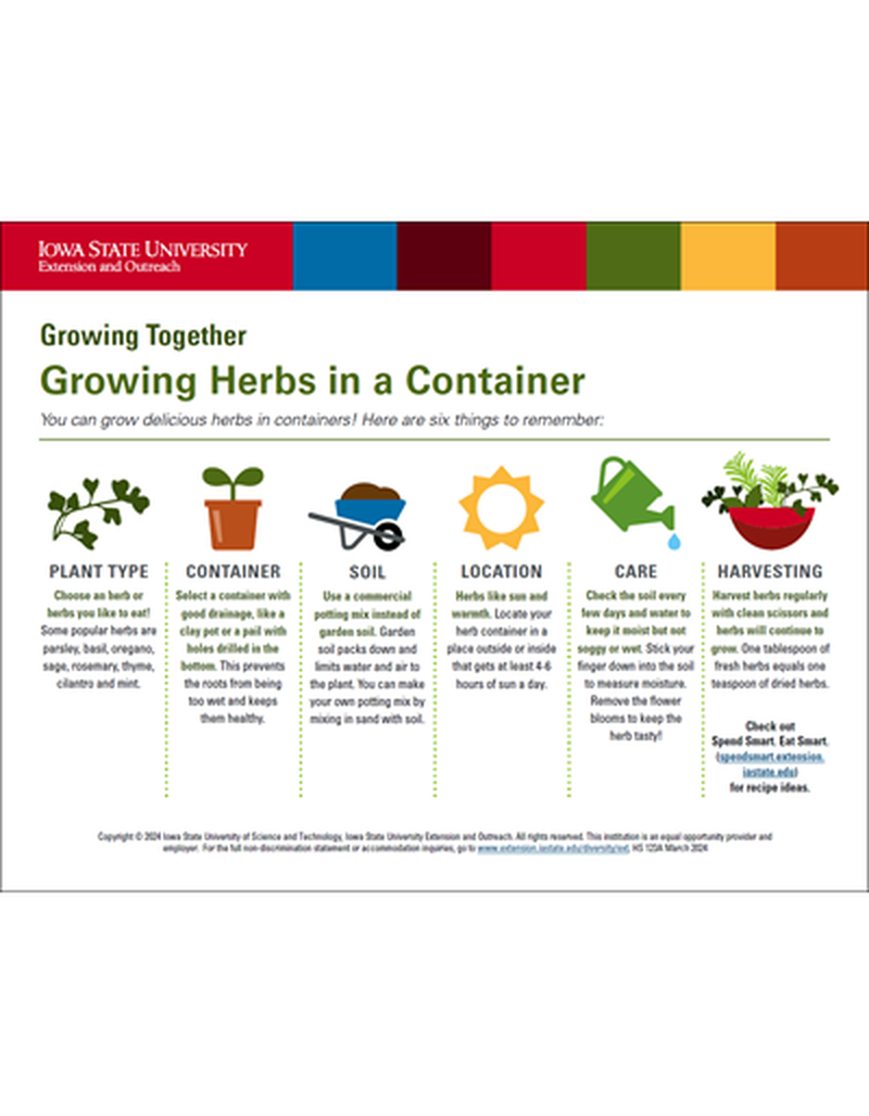 Growing Herbs in a Container image number 1