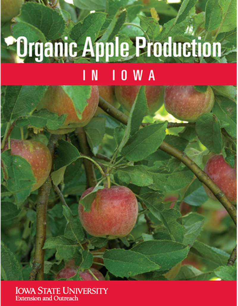 Organic Apple Production in Iowa image number 0