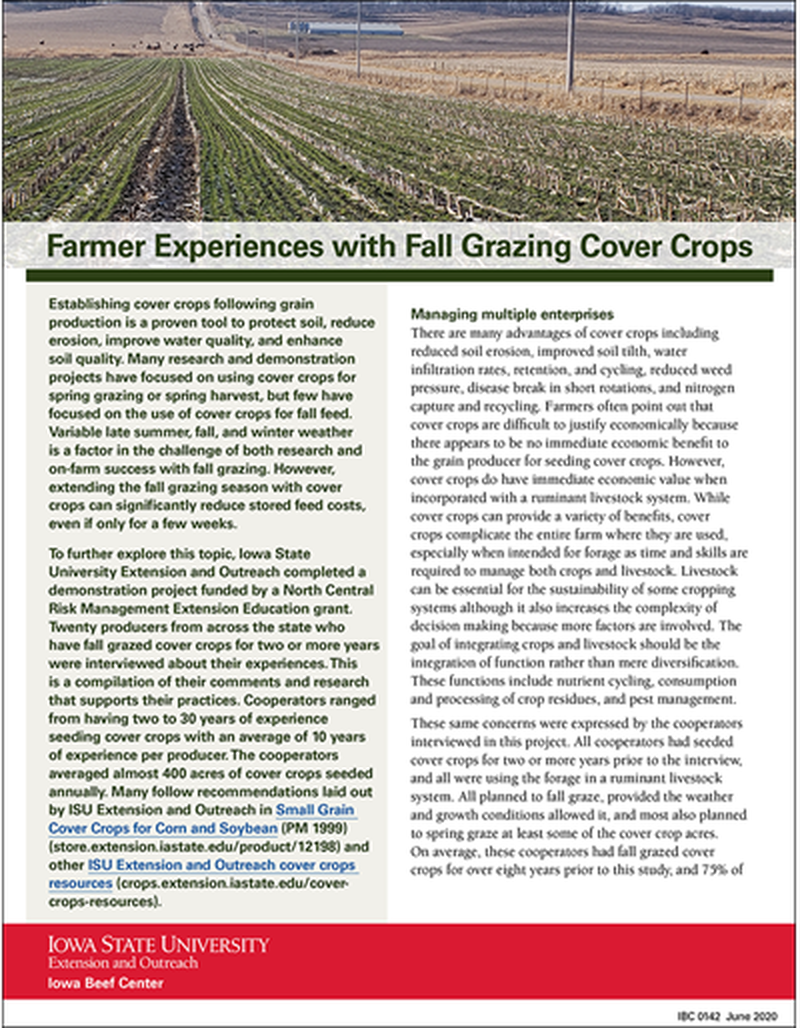 Farmer Experiences with Fall Grazing Cover Crops image number 0
