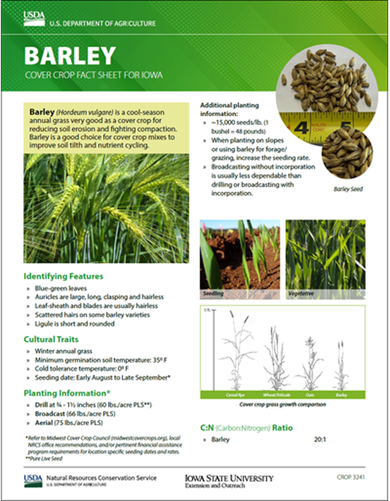 Barley: Cover Crop Fact Sheet for Iowa image number 0