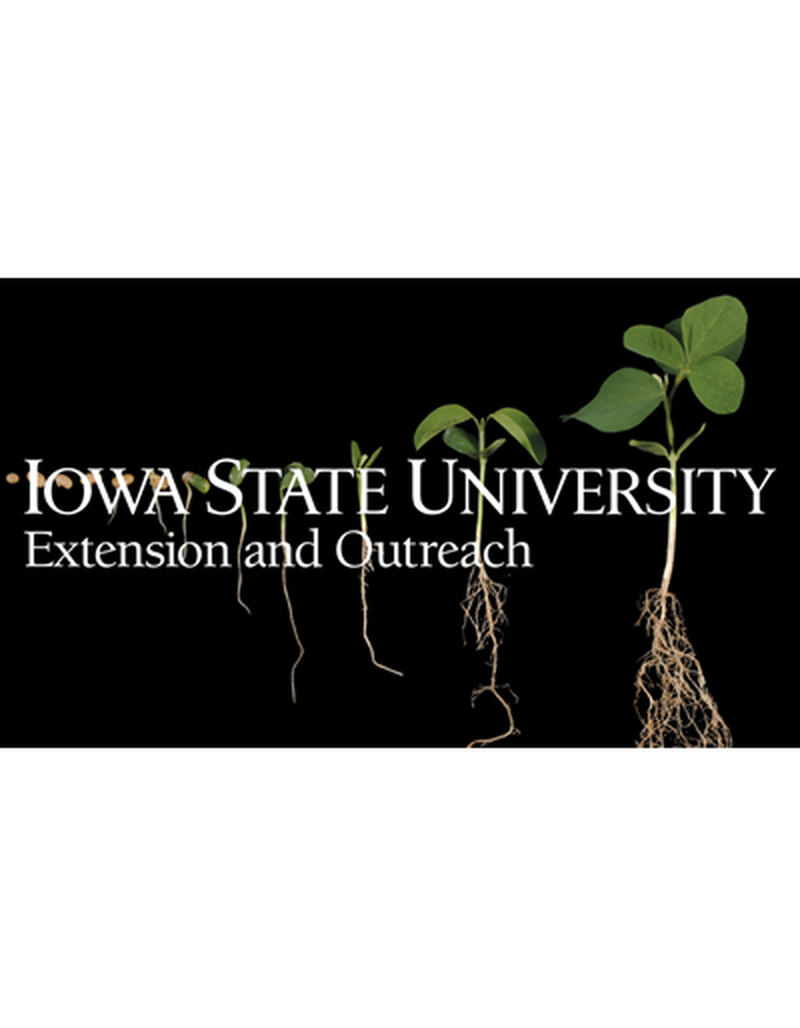 Soybean germination and emergence image number 0