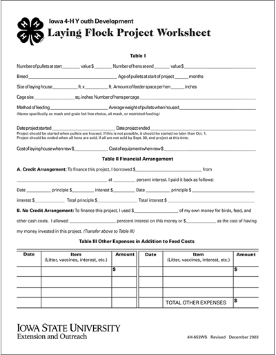 Laying Flock Project Worksheet