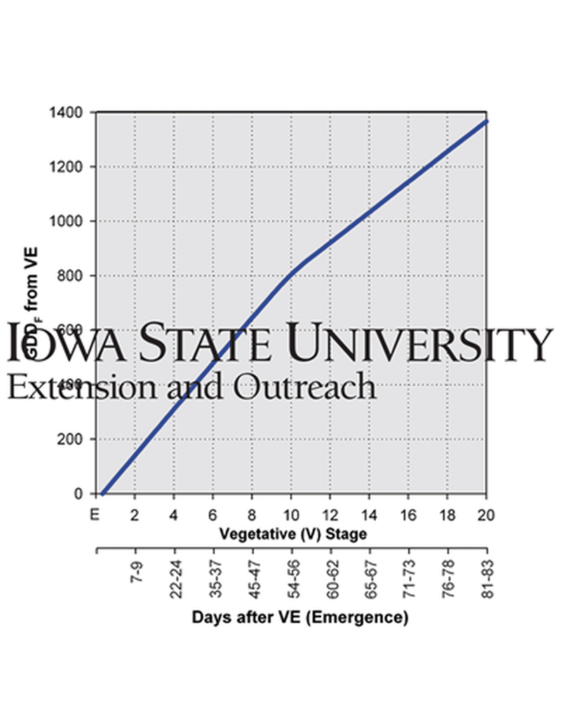 Rate of vegetative development from emergence to final leaf (graphic) image number 0