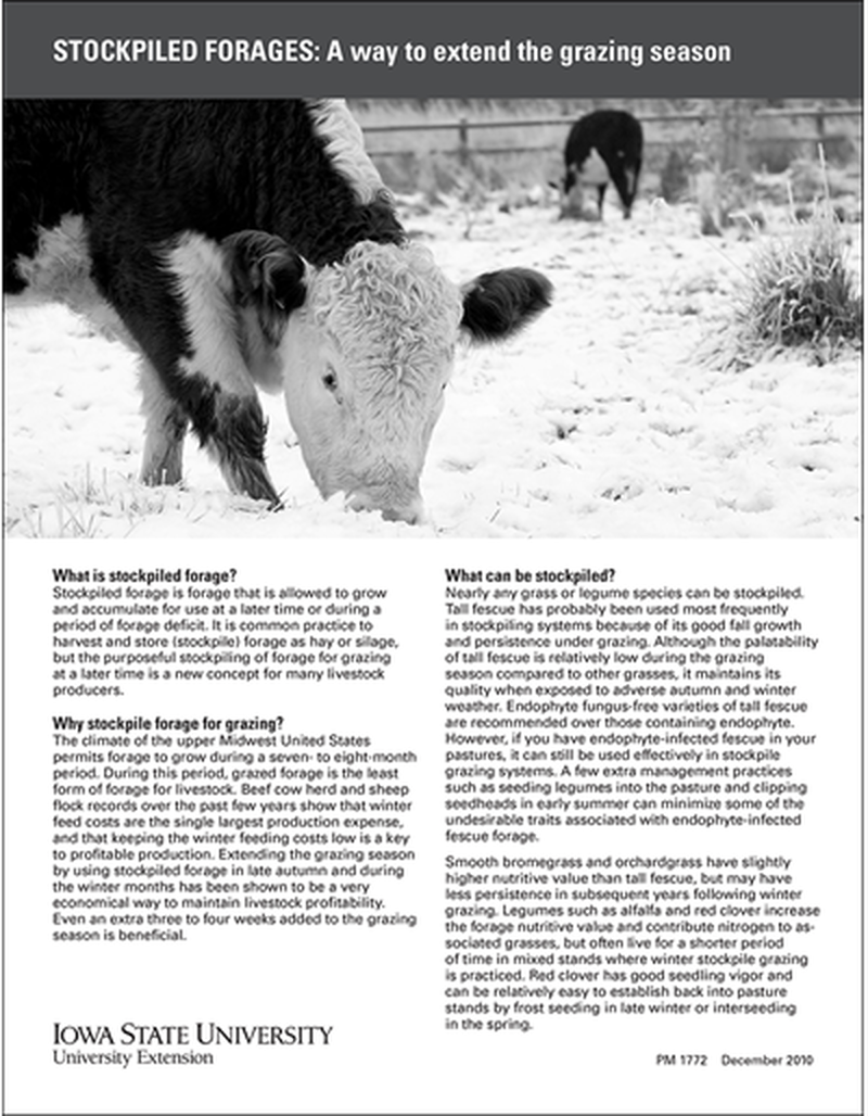 Stockpiled Forages: A Way to Extend the Grazing Season image number 0