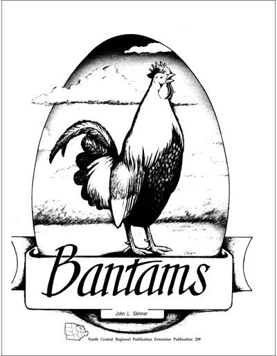 Bantams