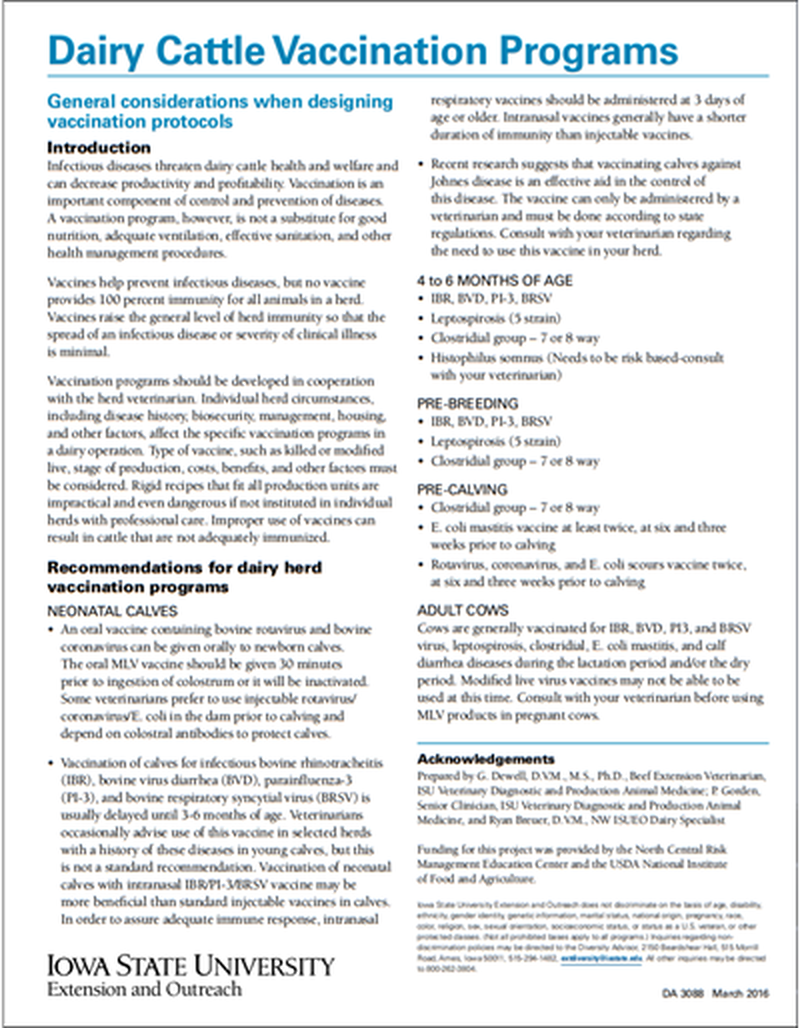Dairy Cattle Vaccination Programs image number 0