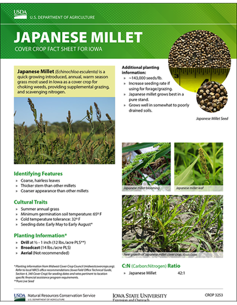 Japanese Millet: Cover Crop Fact Sheet for Iowa image number 0