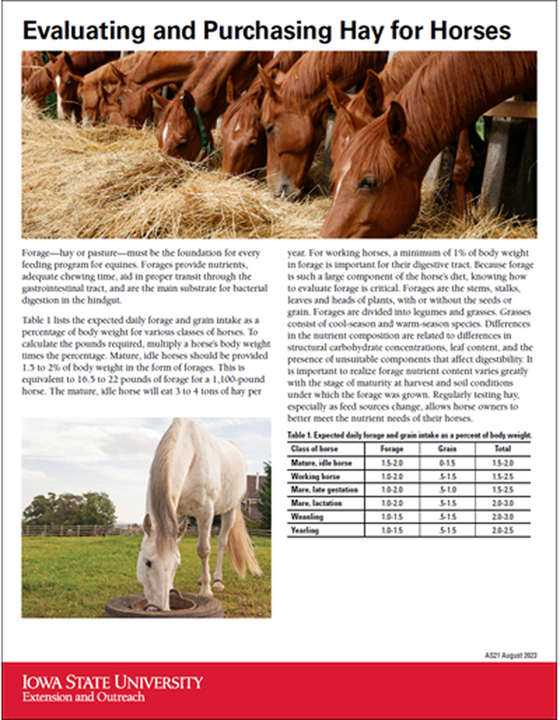 Evaluating and Purchasing Hay for Horses image number 0
