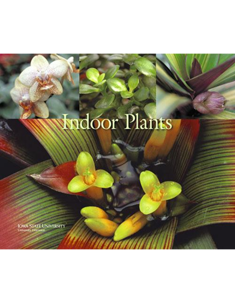 Indoor Plants image number 0