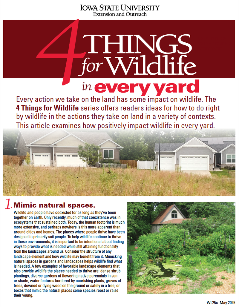 4 Things for Every Yard image number 0