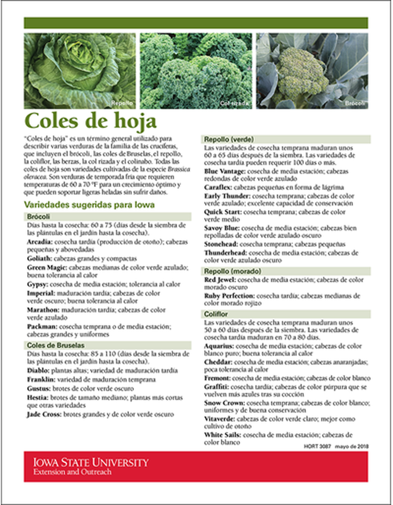 Cole Crops image number 1