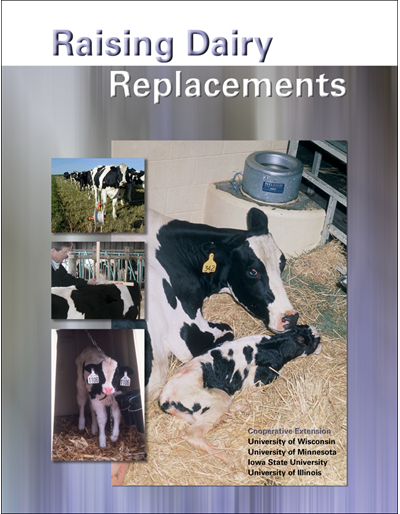 Raising Dairy Replacements