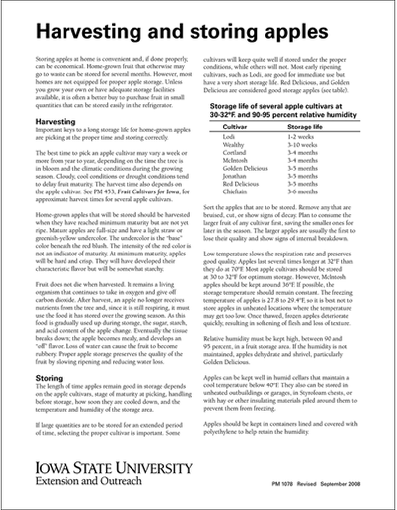Harvesting and Storing Apples image number 0