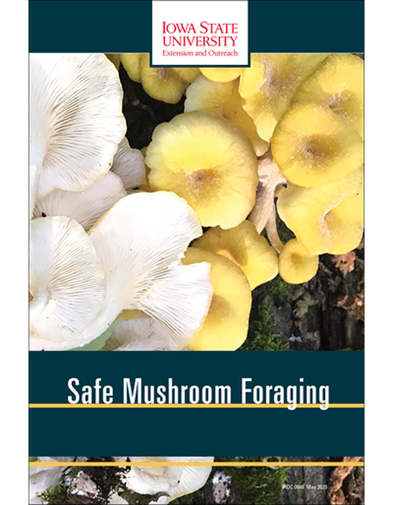 Safe Mushroom Foraging image number 0