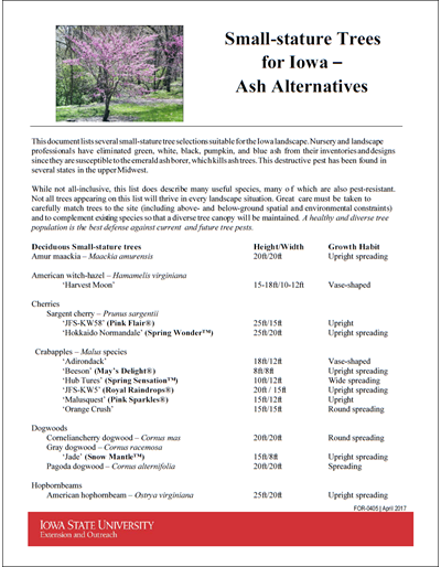 Small-stature Trees for Iowa - Ash Alternatives