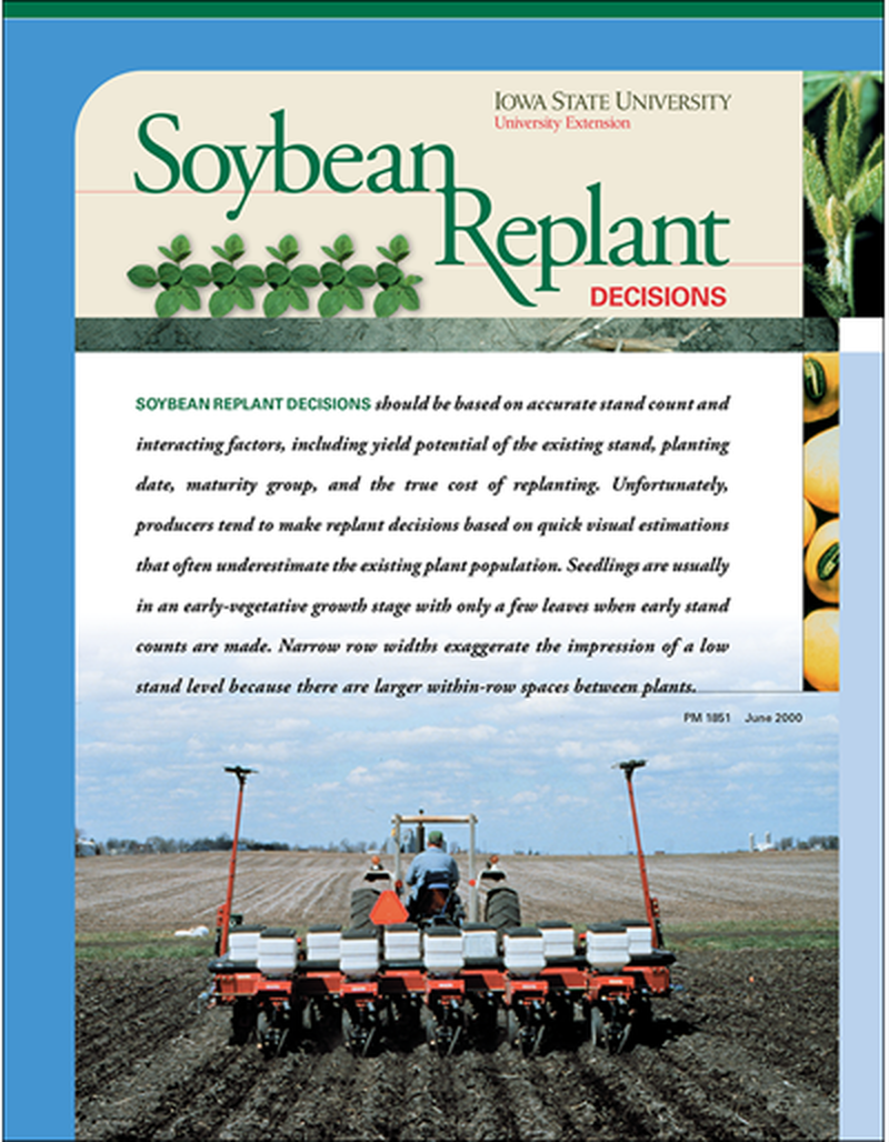 Soybean Replant Decisions image number 0