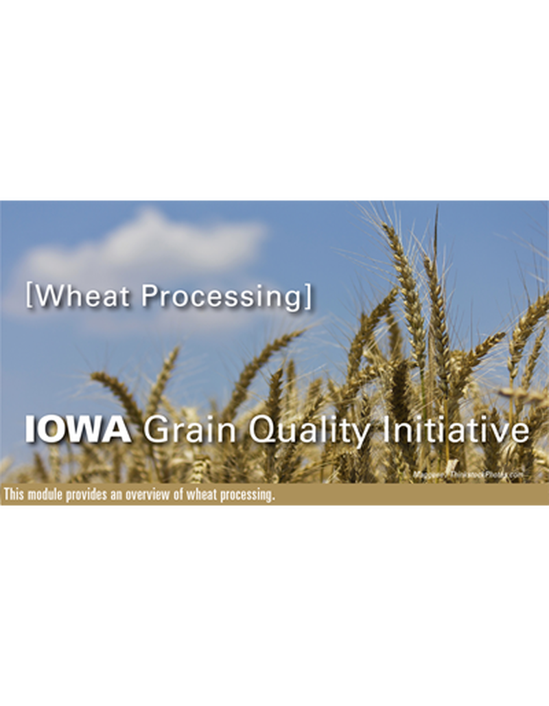 Wheat Processing Module image number 0