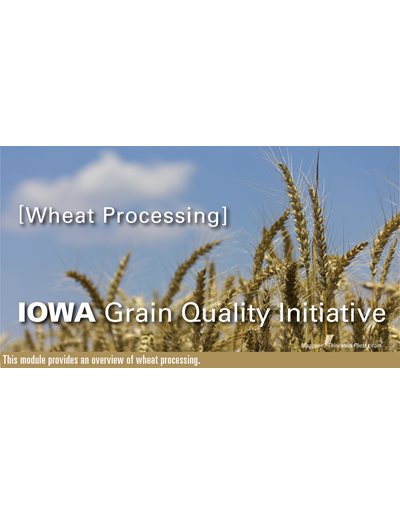 Wheat Processing Module