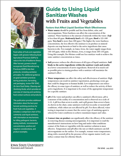 Guide to Liquid Sanitizer Washes with Fruit and Vegetables