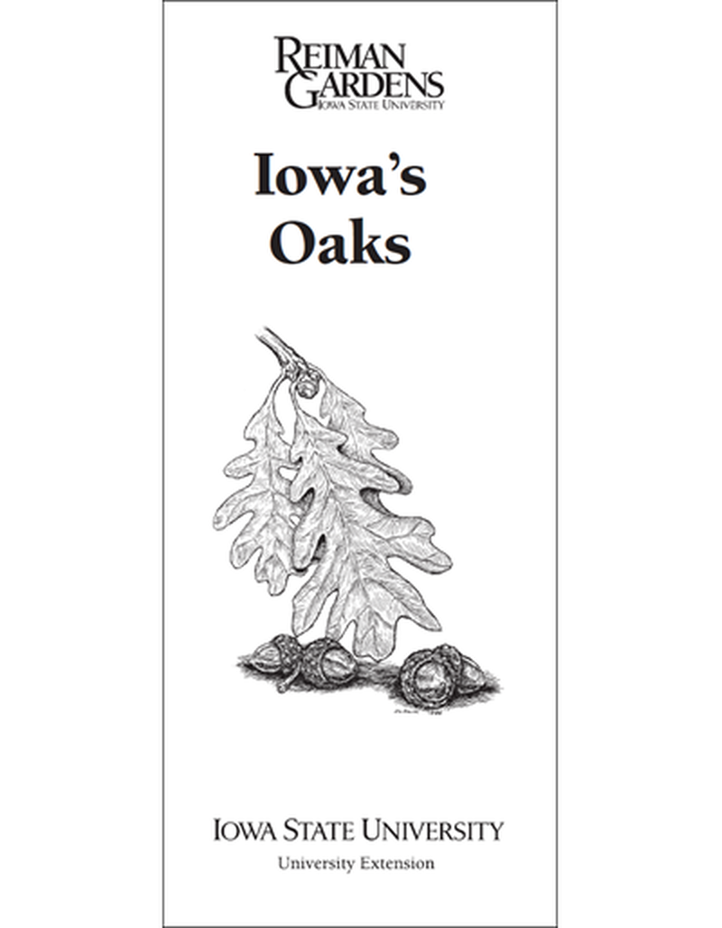 Iowa's Oaks -- Reiman Gardens image number 0