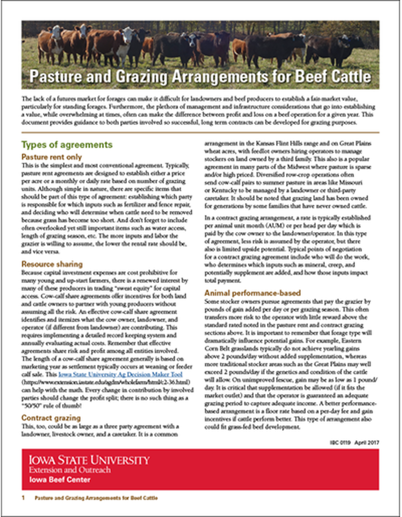 Pasture and Grazing Arrangements for Beef Cattle image number 0