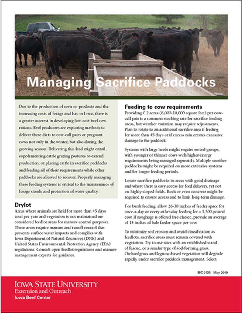Managing Sacrifice Paddocks image number 0
