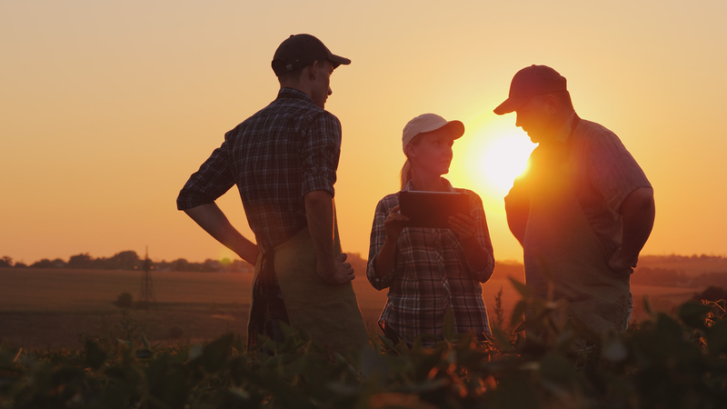 Crop Marketing eCourse image number 0