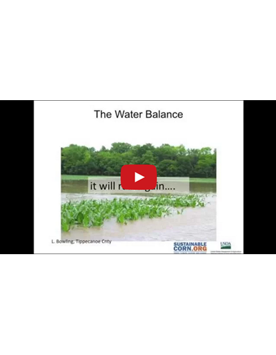 The Water Balance (Video)