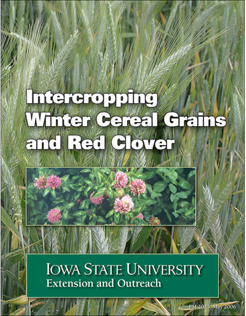 Intercropping Winter Cereal Grains and Red Clover image number 0