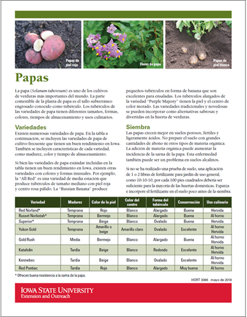 Potatoes image number 1
