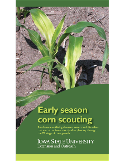 Early Season Corn Scouting