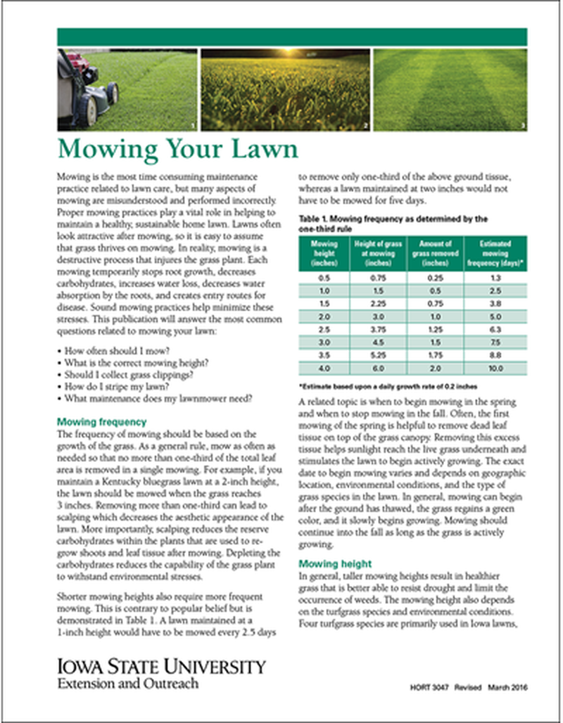Mowing Your Lawn image number 0