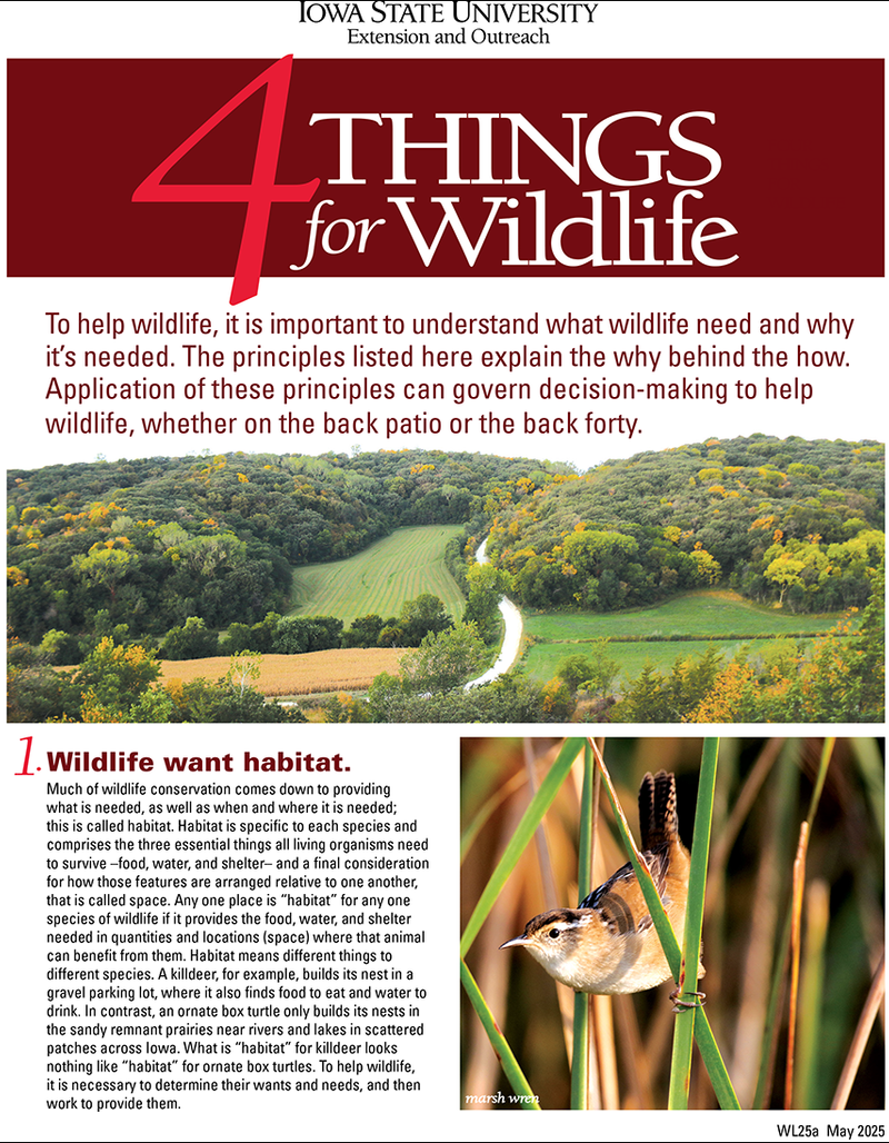 4 Things for Wildlife image number 0