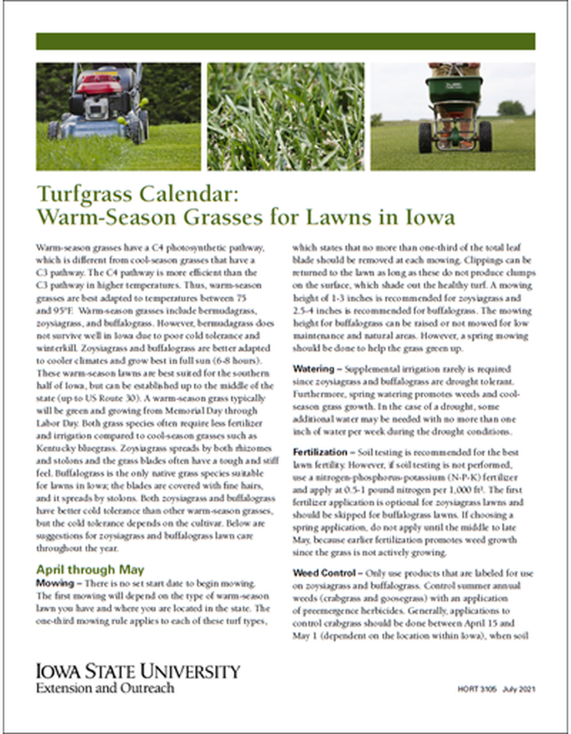 Turfgrass Calendar: Warm-Season Grasses for Lawns in Iowa image number 0