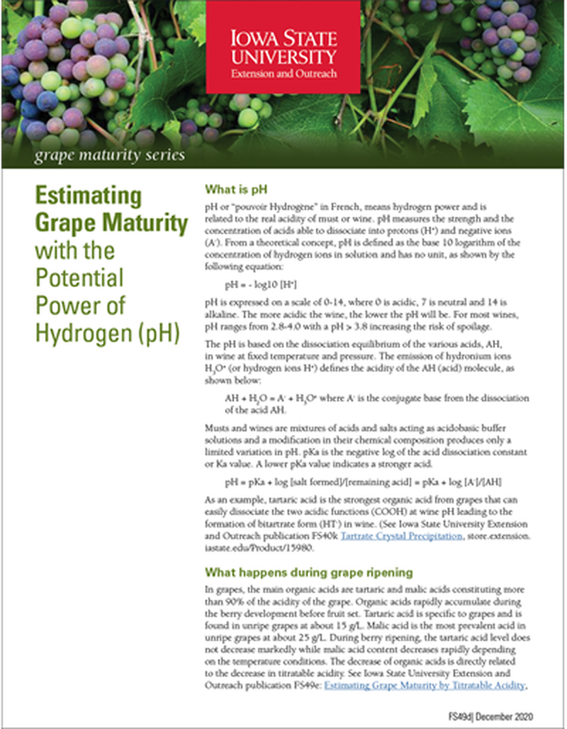 Estimating Grape Maturity with the Potential Power of Hydrogen (pH) - Grape Maturity Series image number 0