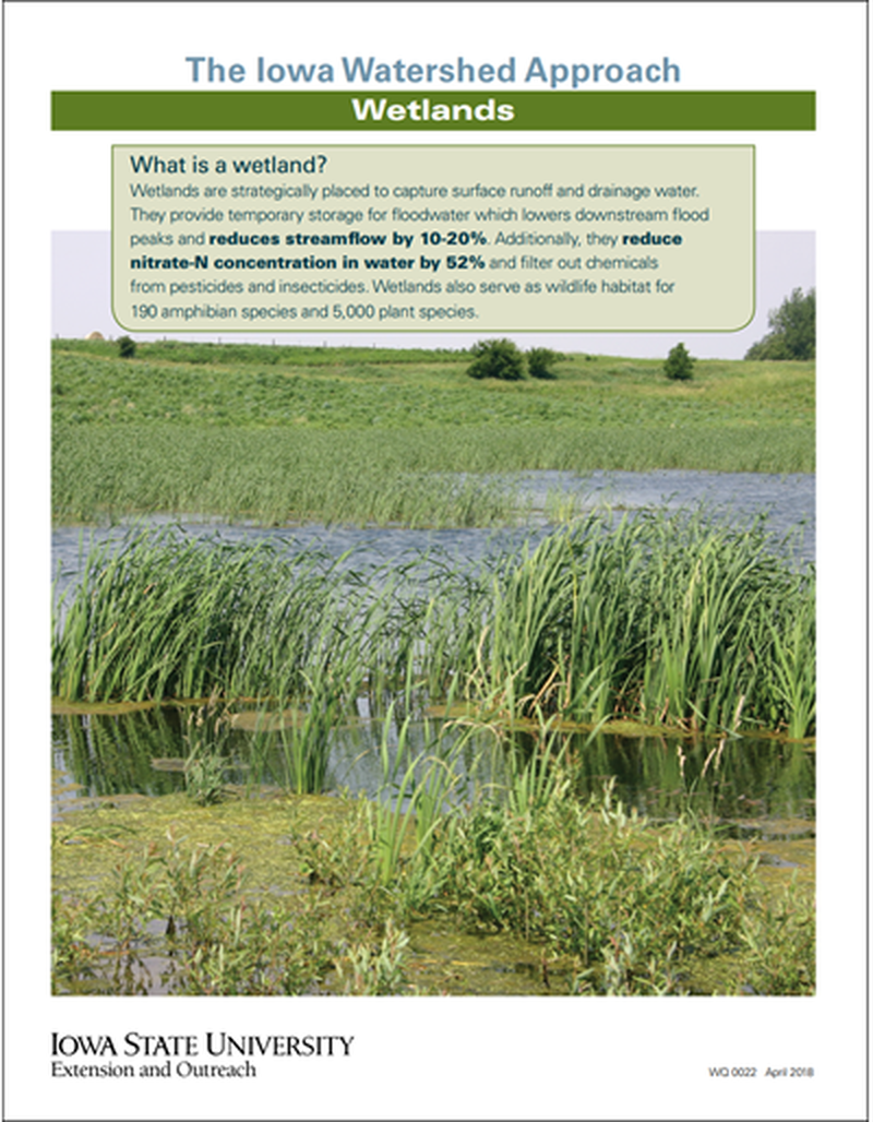 The Iowa Watershed Approach - Wetlands image number 0