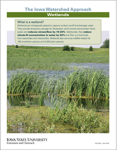The Iowa Watershed Approach - Wetlands