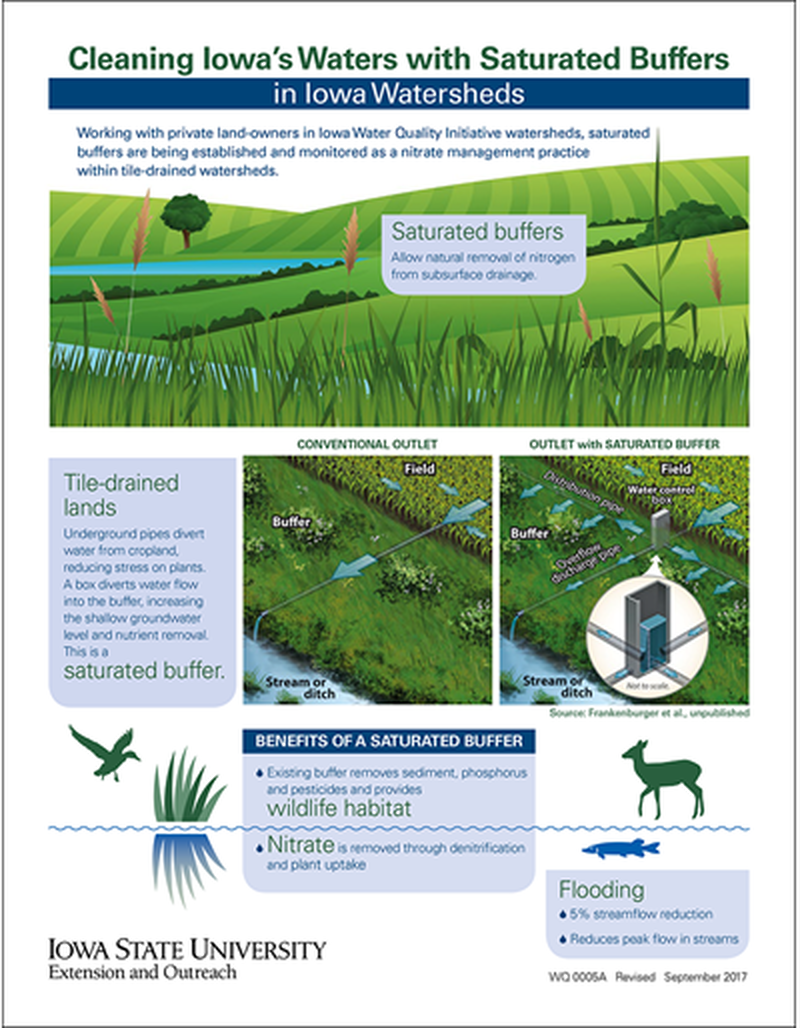 Cleaning Iowa's Waters with Saturated Buffers in Iowa Watersheds image number 0