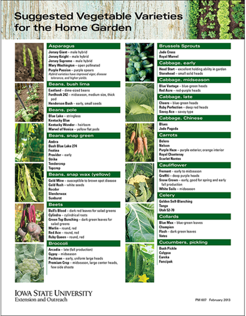 Suggested Vegetable Varieties for the Home Garden image number 0