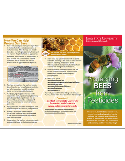 Protecting Bees from Pesticides